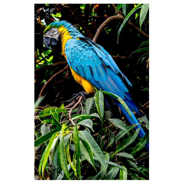 PHOTO84, CLUB, 84 , LUBERON